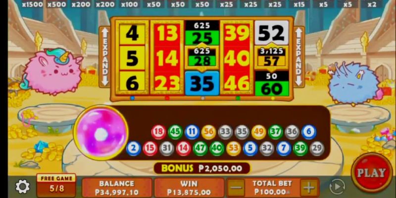 Chủ đề động vật thú vị