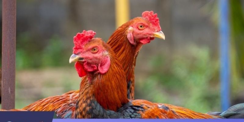 Giữ được nét văn hoá