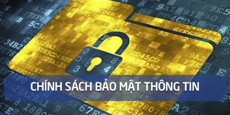 Chính Sách Bảo Mật 999Bet - Đảm Bảo Dữ Liệu, Tối Ưu Trải Nghiệm Chơi Nguyên do mà doanh nghiệp nên chuẩn bị một biện pháp bảo mật