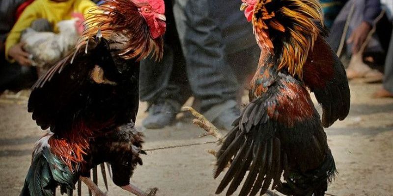 Nên duy trì tập luyện đều đặn kết hợp với chế độ dinh dưỡng